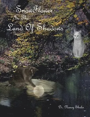 Nancy Shuler - SnowFlower In The Land Of Shadows, Häftad. Tillgänglighet: Lägg i varukorg
