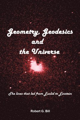 bokomslag Geometry, Geodesics, and the Universe