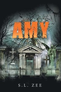 bokomslag Amy