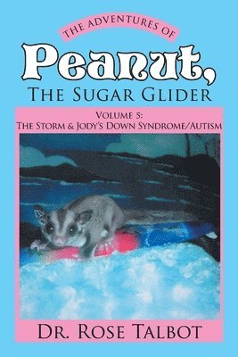 bokomslag Adventures of Peanut, the Sugar Glider