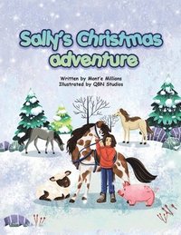 bokomslag Sally's Christmas Adventure