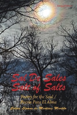 Sal De Sales 1