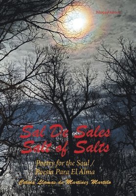 Sal De Sales 1