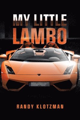 bokomslag My Little Lambo