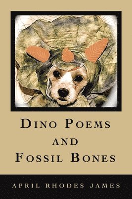 bokomslag Dino Poems and Fossil Bones