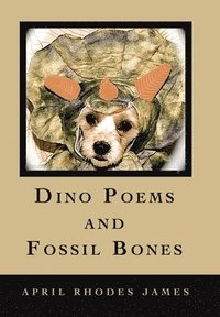 bokomslag Dino Poems and Fossil Bones