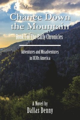 bokomslag Chance Down the Mountain Book I of the Early Chronicles