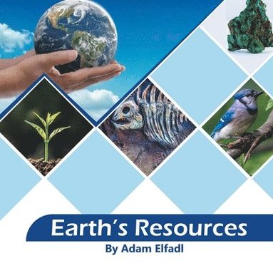 bokomslag Earth's Resources