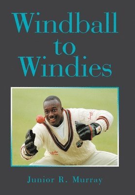 bokomslag Windball to Windies