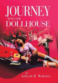 bokomslag Journey Into the Dollhouse
