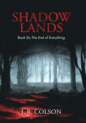 bokomslag Shadow Lands Book Six the End of Everything