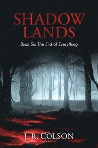bokomslag Shadow Lands Book Six the End of Everything