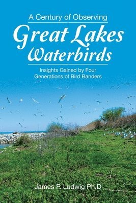bokomslag A Century of Observing Great Lakes Waterbirds