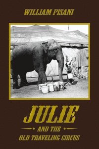 bokomslag Julie and the Old Traveling Circus