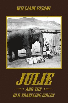 bokomslag Julie and the Old Traveling Circus