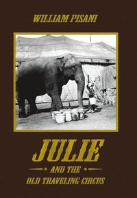 bokomslag Julie and the Old Traveling Circus