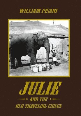 bokomslag Julie and the Old Traveling Circus