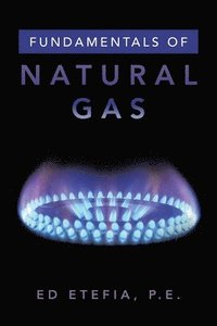 bokomslag Fundamentals of Natural Gas