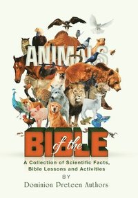 bokomslag Animals of the Bible