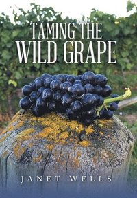 bokomslag Taming the Wild Grape