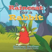 bokomslag A Raincoat for a Rabbit