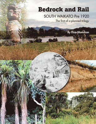 bokomslag Bedrock and Rail SOUTH WAIKATO Pre 1920 The first of a planned trilogy