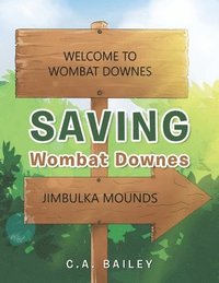 bokomslag Saving Wombat Downes