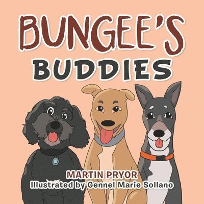 Bungee's Buddies 1