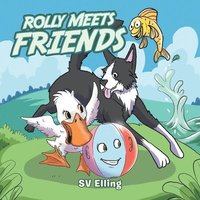 bokomslag Rolly Meets Friends