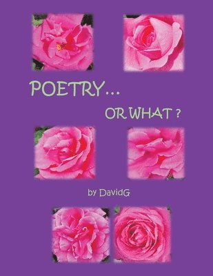 bokomslag Poetry...or What?