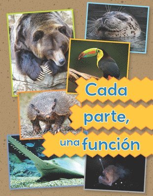 Vhl - Cada Parte, Una Función, Häftad