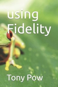 bokomslag Using Fidelity