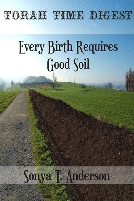 bokomslag Torah Time Digest: Every Birth Requires Good Soil