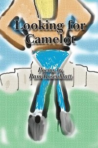 bokomslag Looking for Camelot