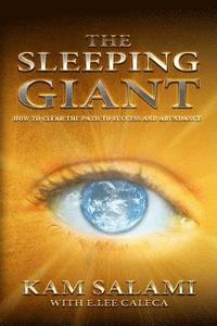 bokomslag The Sleeping Giant