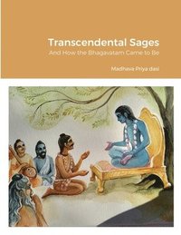 bokomslag Transcendental Sages