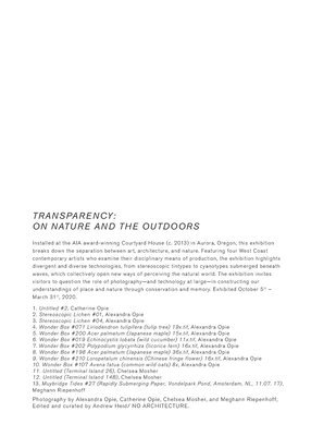 bokomslag Transparency