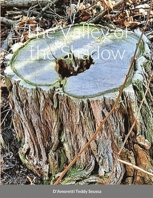 Valley of the Shadow