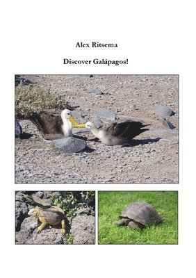 Discover Galpagos! 1