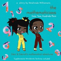 bokomslag Mathematicians