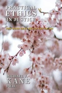 bokomslag Practical Ethics in Justice