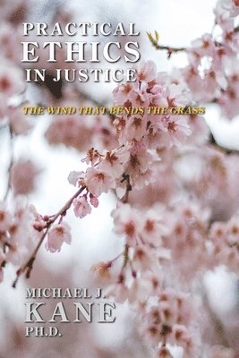 Michael Kane - Practical Ethics in Justice, Häftad