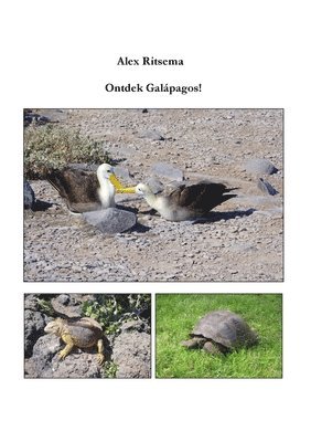 bokomslag Ontdek Galpagos!