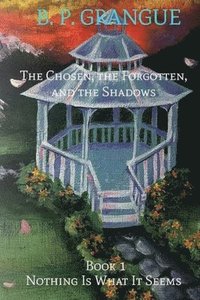 bokomslag The Chosen, The Forgotten, and the Shadows Book 1