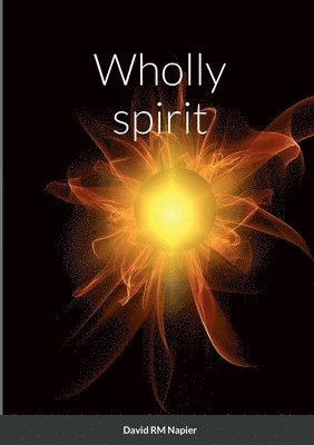 David Napier - Wholly spirit, Häftad