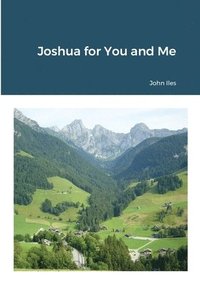 bokomslag Joshua for You and Me