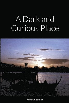 bokomslag Dark and Curious Place