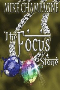 bokomslag Focus Stone