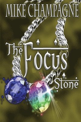bokomslag Focus Stone