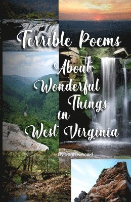 bokomslag Terrible Poems About Wonderful Things in West Virginia